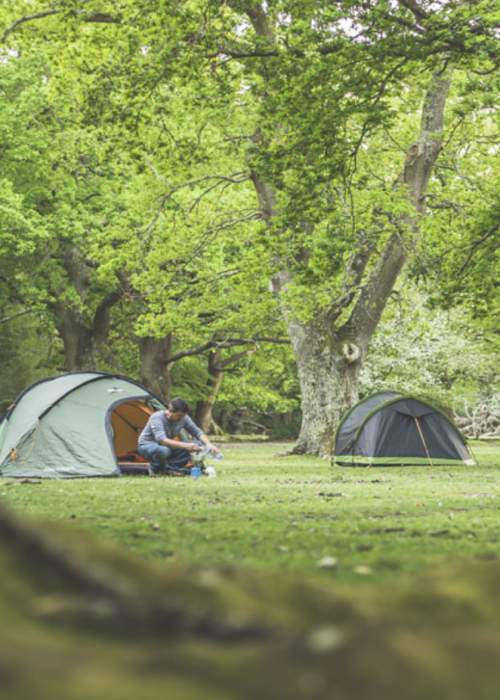 Man camping in tent in the New Forest